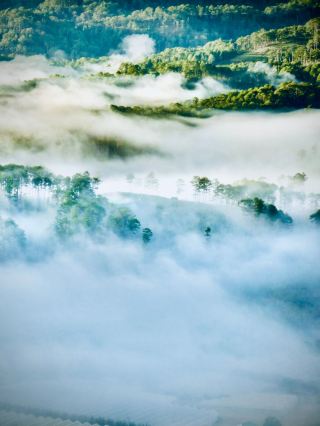 貝南阿塔科拉山脈塔努古瀑布苔蘚彭賈里森林 Edgeeasytravelpost #塔努古瀑布