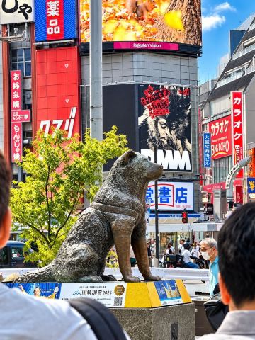Organised chaos in Shibuya | Trip.com Tokyo