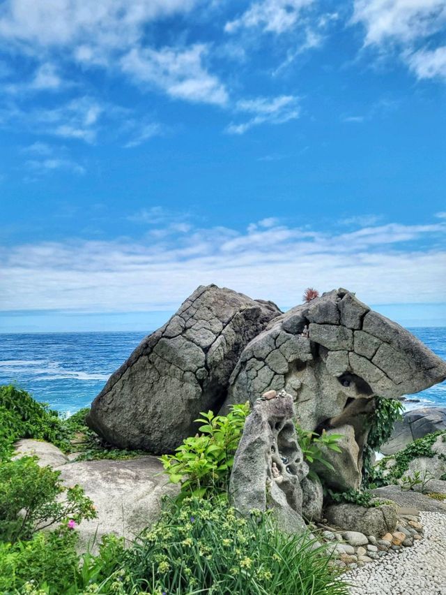 양양의 푸른 바다가 한눈에 펼쳐지는 곳💙