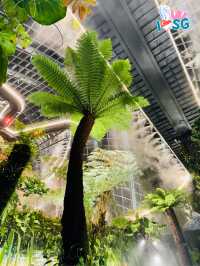 🇸🇬 A date at the Heart-shaped suspended sky walk