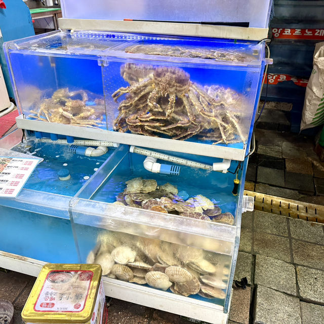 【韓国/プサン】海鮮好き必見！釜山最大のチャガルチ市場