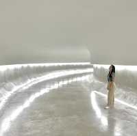 👁️ Explore the “eye” museum in Curitiba 🇧🇷✨