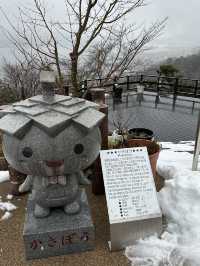 Discovering the Beauty of Amanohashidate and Ine Funaya: Japan’s Scenic Wonders