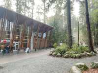 트와일라잇촬영지로 알려진 Vancouver에 위치한 Lynn Canyon park