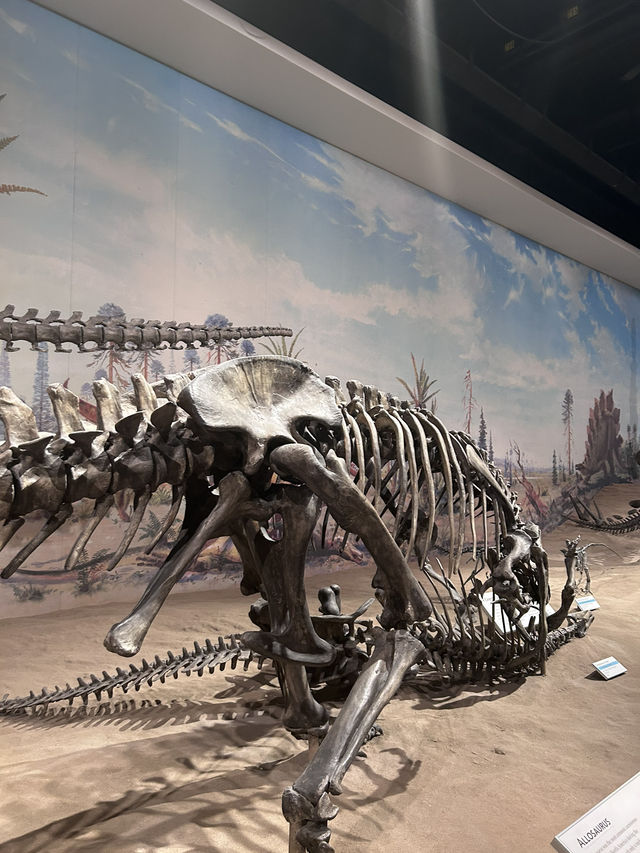 🦕恐竜の聖地！カナダ🇨🇦【ロイヤル・ティレル博物館】
