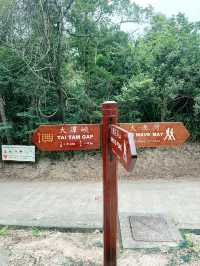 🥾 香港龍脊行山路線｜景靚易行嘅經典郊遊之選！🌿