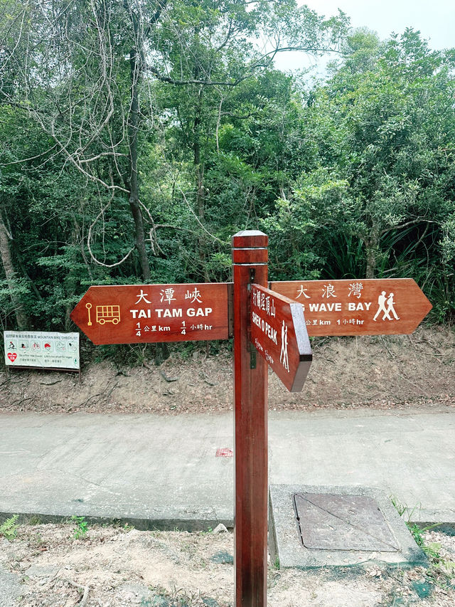 🥾 香港龍脊行山路線｜景靚易行嘅經典郊遊之選！🌿