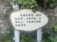 Fragrant hills