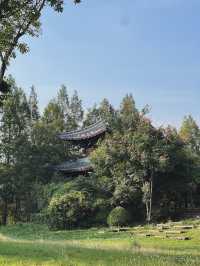 Город Фуян, столица Анхой, Экологический парк.