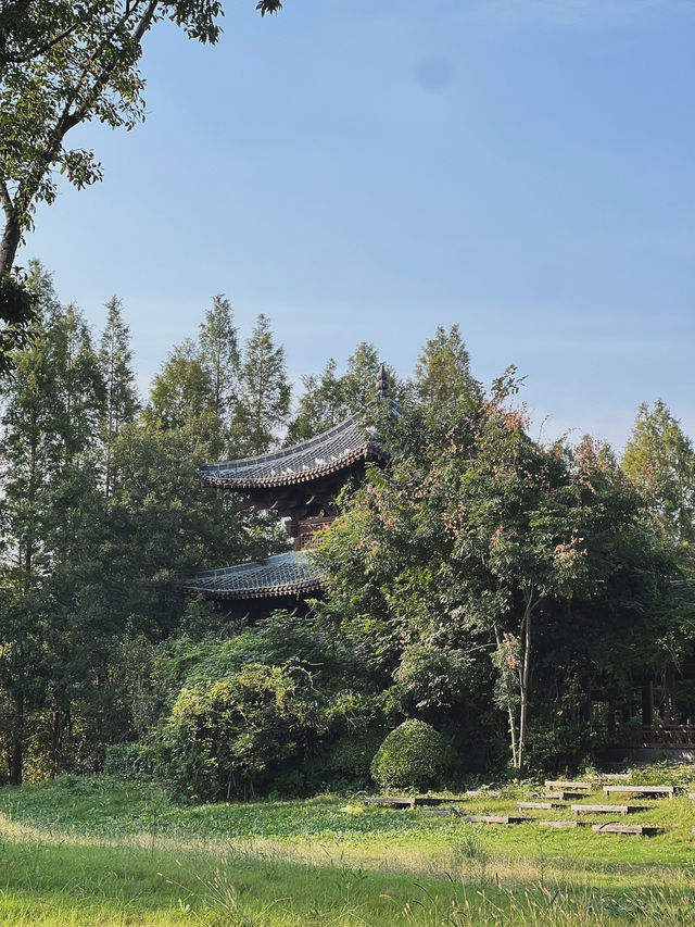 Город Фуян, столица Анхой, Экологический парк.