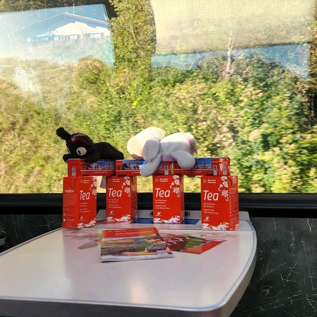 All on board the Bernina Express!