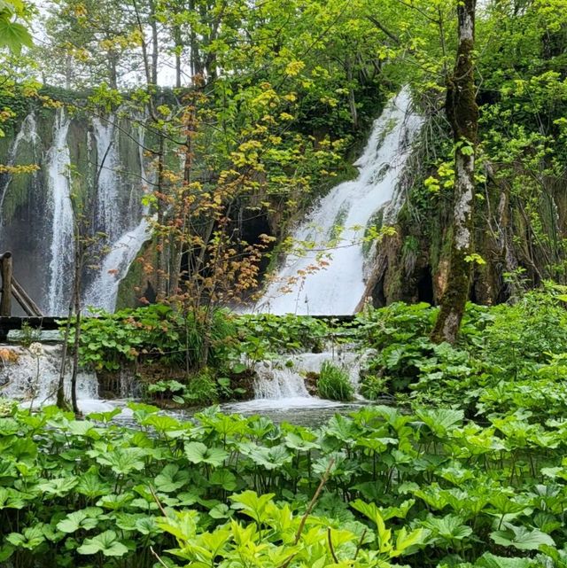 plitvice lakes national park Croatia