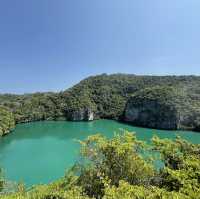 White Sand! Blue Lagoon! Monkey! Bamboo Raft!