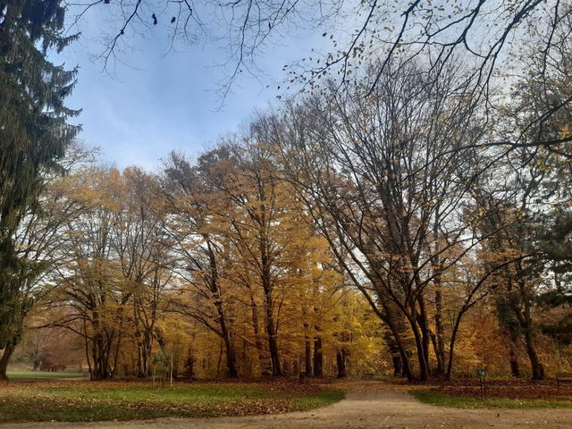 Autumn in Park Maksimir Zagreb 🗺️