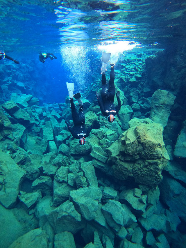 冰島之旅🇮🇸 2度的浮潛體驗