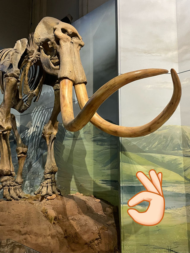 Have a roar-some time, dinosaurs at the museum of Wales