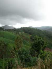  akipu homestay
