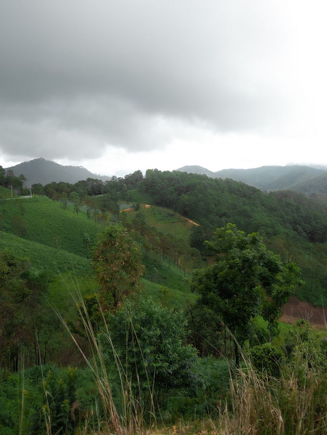  akipu homestay
