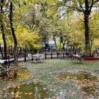 🍂 Travel to Sulaymaniyah, Iraq in Autumn 🍂
