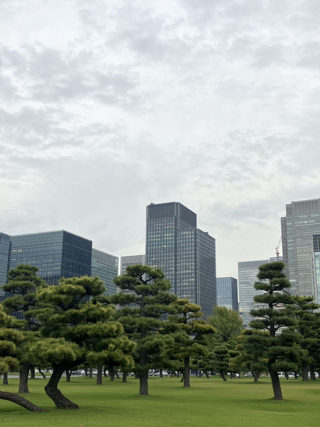 Tokyo’s Urban Beauty Meets Rural Tranquility 