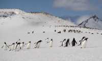 🇦🇶 Day 5-8: FINALLY REACHED ANTARCTICA