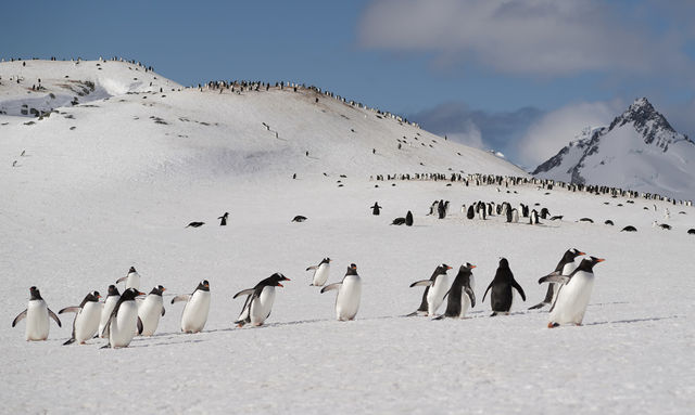 🇦🇶 Day 5-8: FINALLY REACHED ANTARCTICA