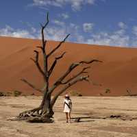 Namib desert