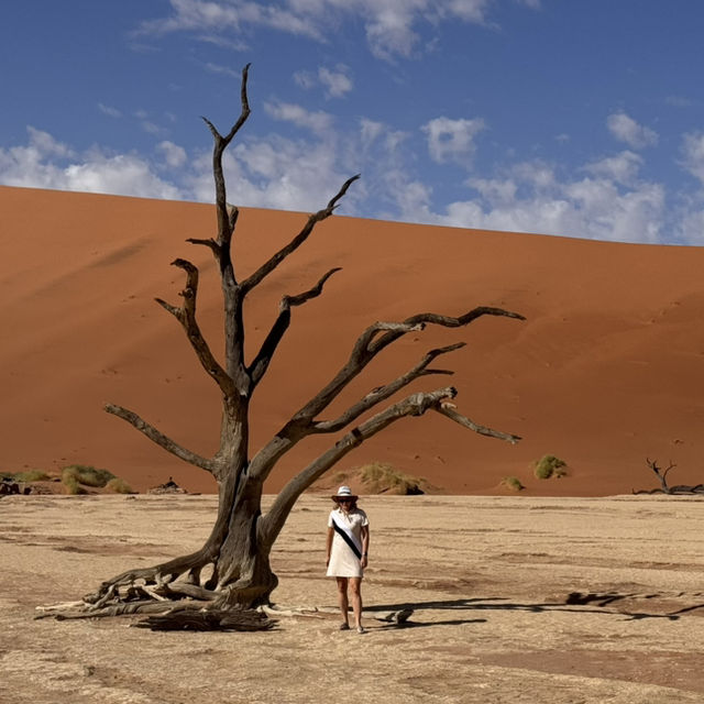 Namib desert
