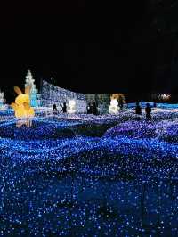 Bangkok by Night: Winter Illumination and Stunning Views