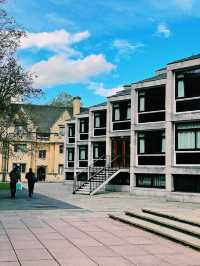 🌿 Lincoln & St John’s College: Two Oxford Gems Worth Exploring! 🌿