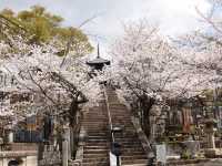 The first temple of the Jodo sect that was drafted