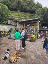 해외여행 페루의 잃어버린 공중도시 Machu Picchu