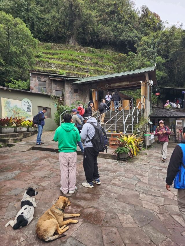 해외여행 페루의 잃어버린 공중도시 Machu Picchu