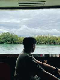 Have you tried eating a buffet while cruising in a Jungle River?