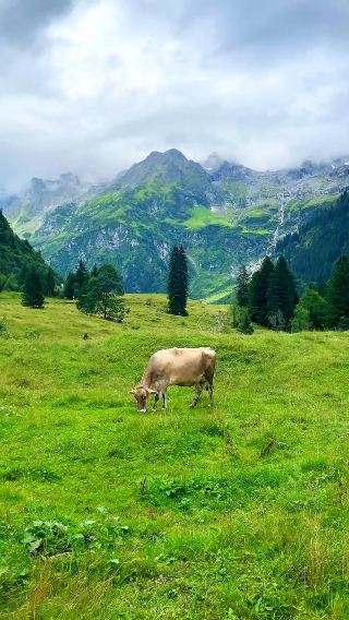 Your Perfect Day in the Swiss Alps 🇨🇭🏔️