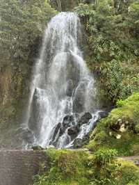 The Azores are one of the best hiking destinations in the world. 
