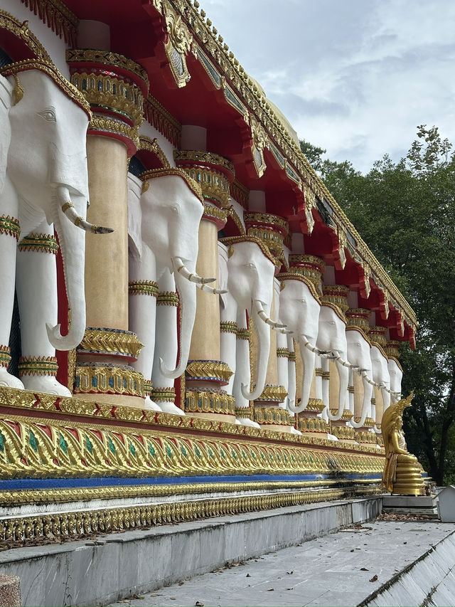 Temple lost in a jungle 