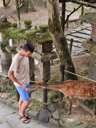 나라 당일치기 여행: 볼거리와 교토/오사카에서 가는 방법