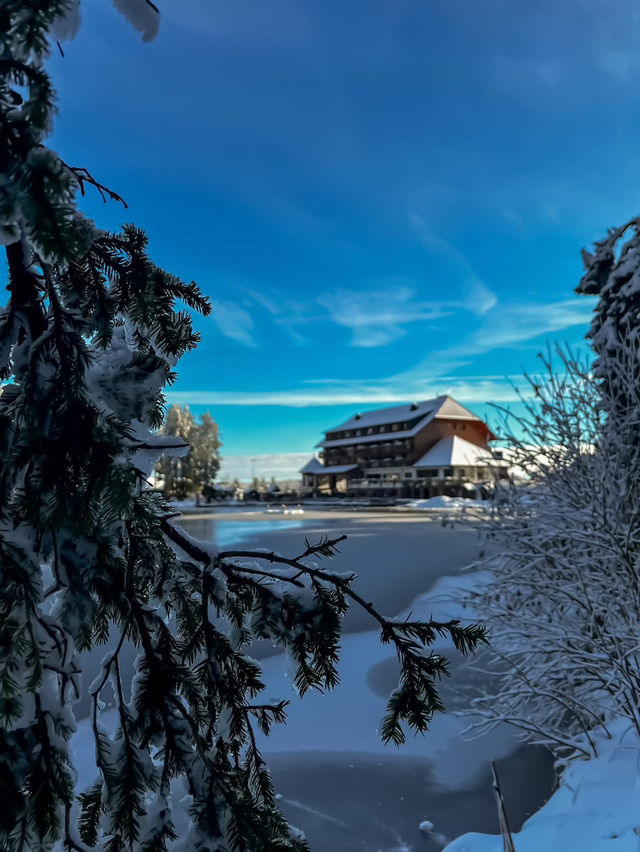 A magical escape to Mummelsee — the Black Forest’s hidden gem 🌲