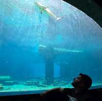Nemo restaurant 