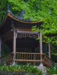 ⛰️ Mengding Mountain – The Ancient Cradle of Chinese Tea