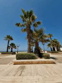 Discovering Cádiz: A Charming Escape on the Spanish Coast
