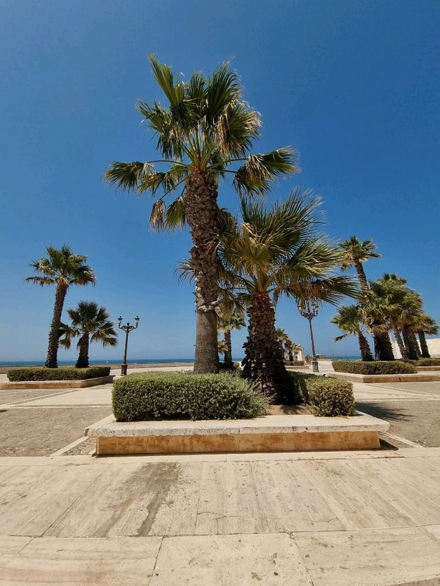 Discovering Cádiz: A Charming Escape on the Spanish Coast