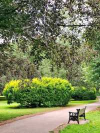 War Memorial Park, Coventry: Peaceful, Green, and Full of Life 🌳🕊️