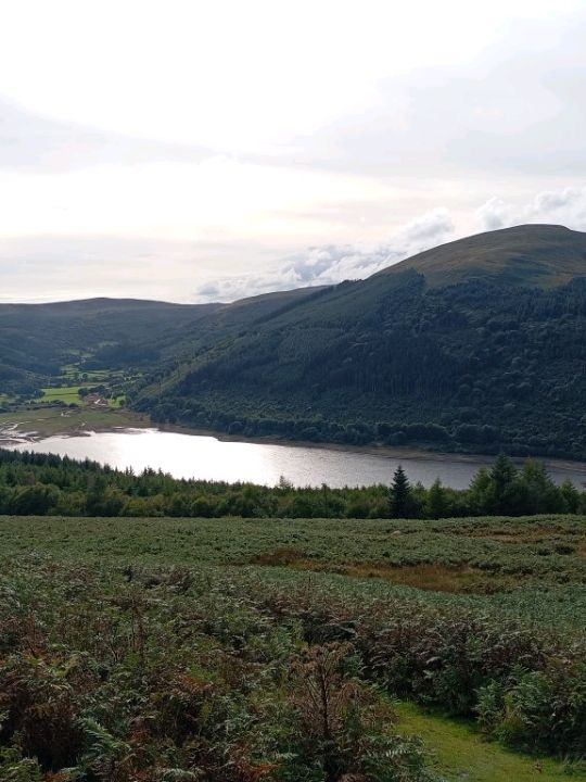 A walk to the summit of Tor y Foel starting in Talybont on Usk