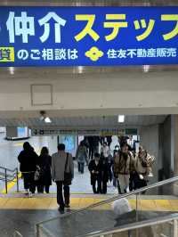 Japan Itinerary 5: Here’s my quick-hit Tokyo itinerary guide