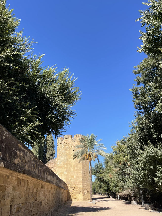 Córdoba: History, Culture & Andalusian Charm 🏛️🌿✨