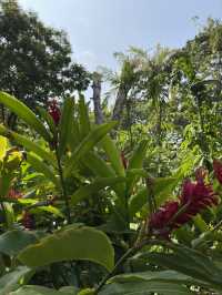 🌿 Malé Parks – Green Escape in the Heart of the Maldives 🌴✨
