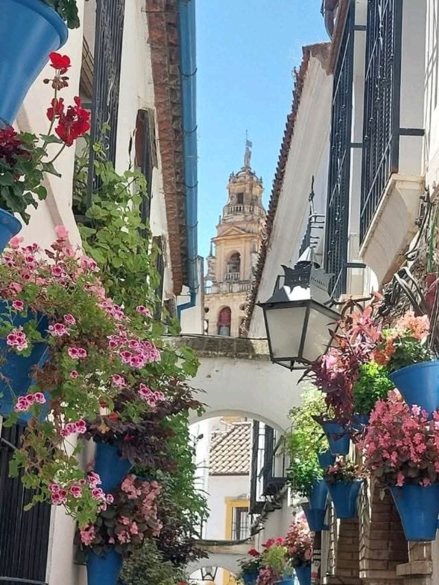 Córdoba Unveiled: Eternal Wonders and Eerie Halloween Thrills Córdoba Unveiled: Eternal Wonders and Eerie Halloween Thrills