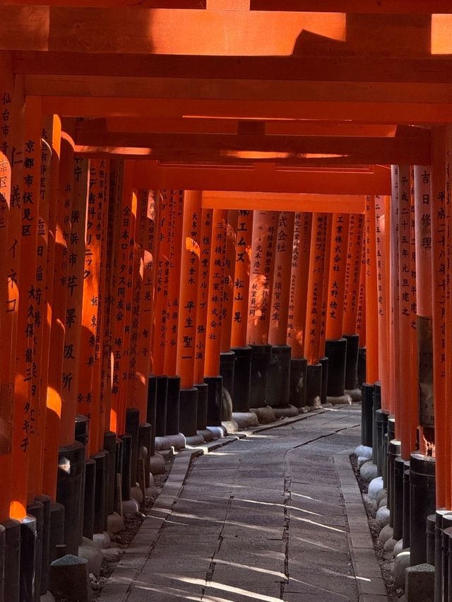 1000 Torii Gate Magic🛤️